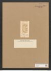 Amphiprora jolisiana Grev. (de-Toni-Nr.: Genus 29, Species 1354) Zeichnungen Sammlung Grunow Nr. 2574 (NHMW-BOT-W0369759)